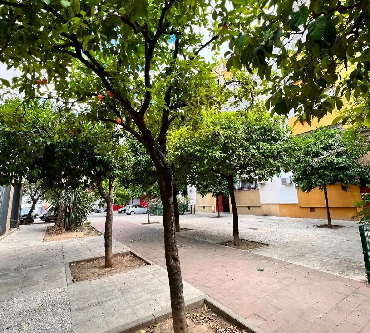 Comfortable & Nice Apartment Seville
